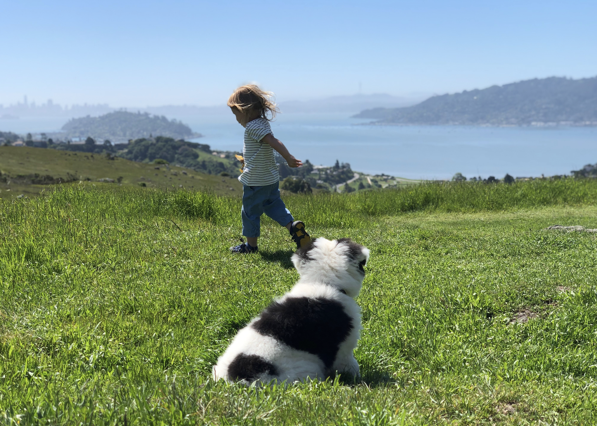 Marin to be Hit Least-Hard by Whatever Happening in World, Experts Say