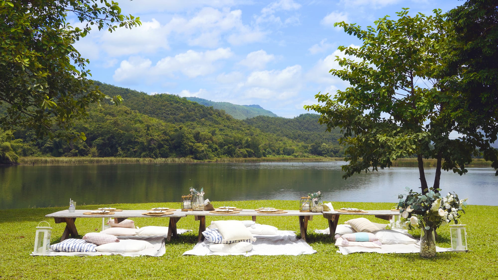 Separation Strategist Sought for Soft Launch of Mill Valley Divorce