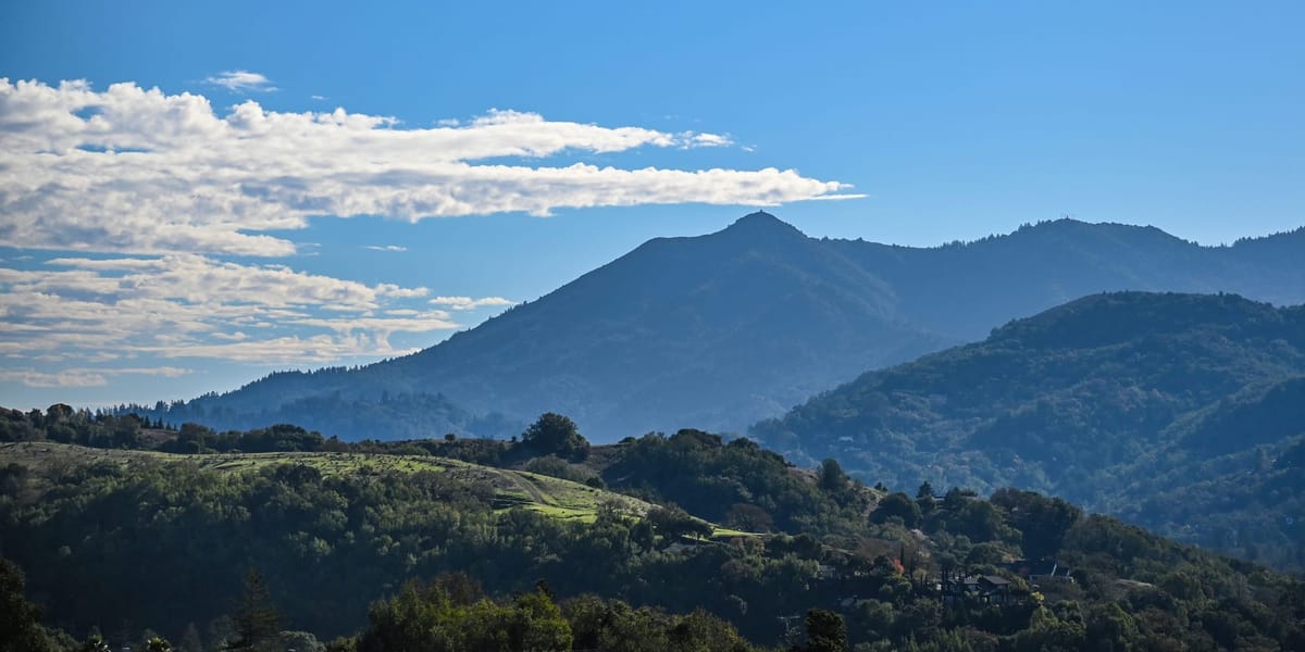 Marin’s Summer 2025 Offering Falls Short of Expectations for Region’s Weather Connoisseurs