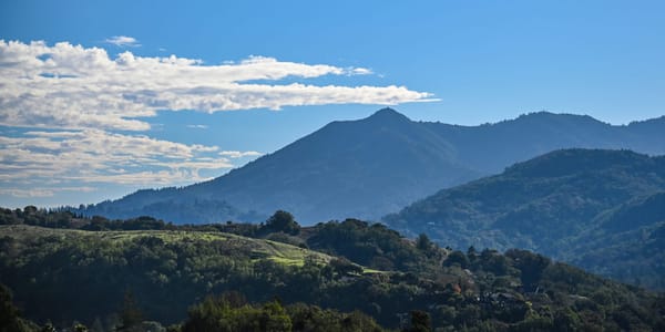 Marin’s Summer 2025 Offering Falls Short of Expectations for Region’s Weather Connoisseurs