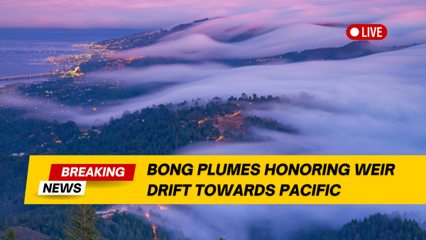 Bob Weir Tributes Continue to Waft Out of Marin County