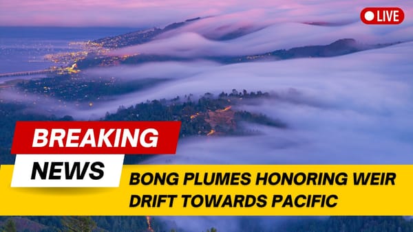 Bob Weir Tributes Continue to Waft Out of Marin County