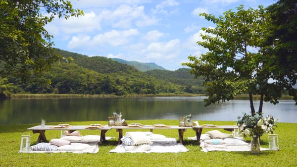 Separation Strategist Sought for Soft Launch of Mill Valley Divorce